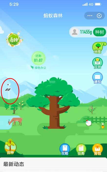 螞蟻種樹怎么看自己種的樹？螞蟻森林種樹流程及規(guī)則
