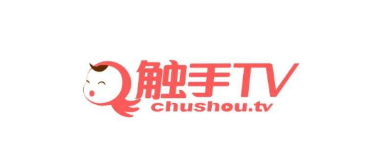 直播開發者平臺有哪些？國內最火的十大直播平臺排行榜