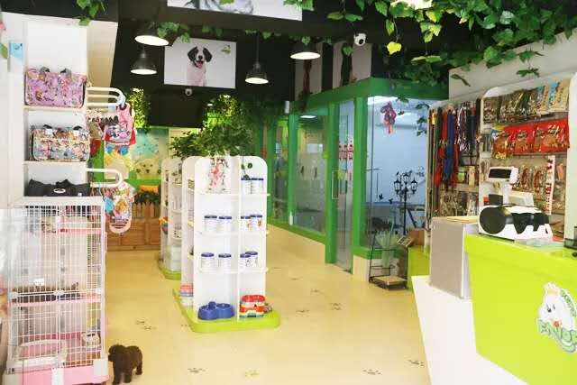 開個寵物店要具備什么條件？全國十大寵物加盟品牌排行榜