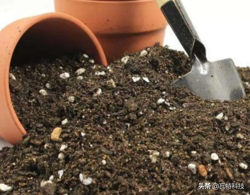 綠色環保項目有哪些？2023綠色環保節能創業項目排行榜