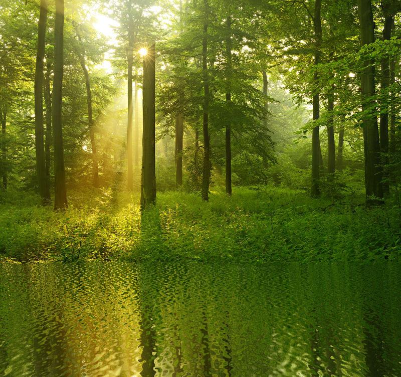 ps倒影效果怎么做？ps制作倒影的兩種方法教程詳解