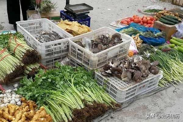 擺攤賣蔬菜的利潤有多大？新手擺攤賣蔬菜必知十大技巧
