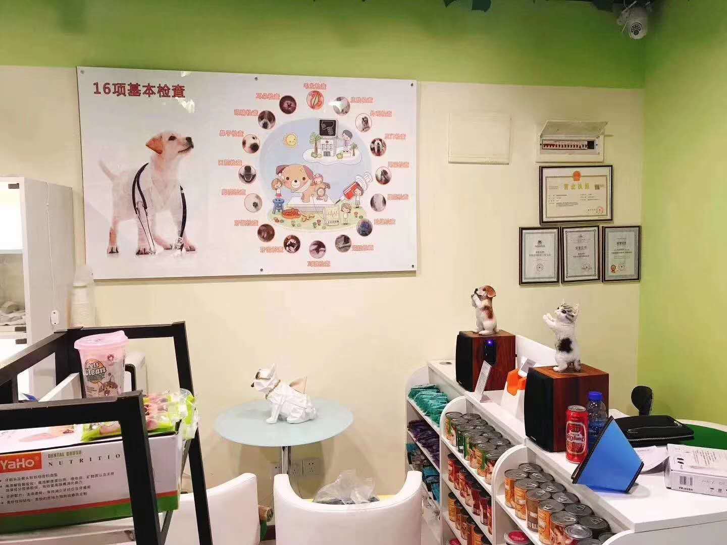 開個寵物店要具備什么條件？全國十大寵物加盟品牌排行榜