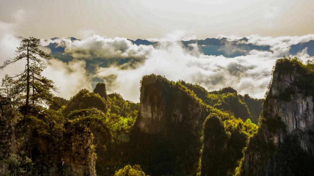 恩施團購平臺有哪些？恩施大峽谷網上訂票流程介紹