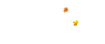 多點(diǎn)超市配送費(fèi)多少？多點(diǎn)配送范圍及規(guī)則表一覽