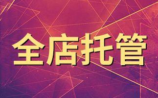 網站代運營方案（分享網店運營推廣方案模板大全）