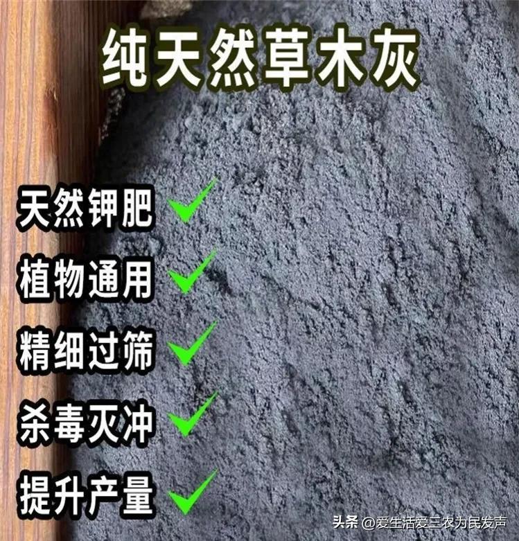 縣城冷門暴利生意有哪些？農村十大冷門暴利生意排行榜