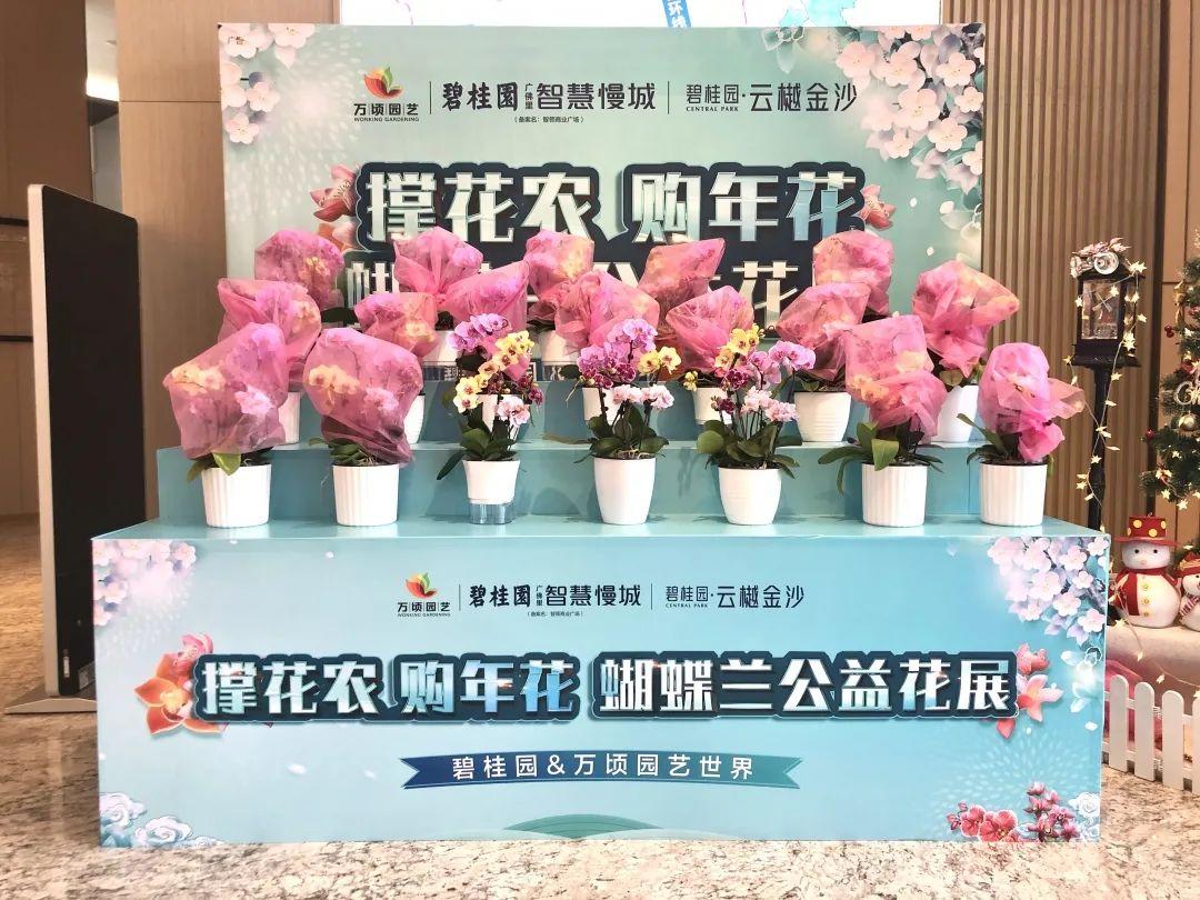 訂單核銷碼是什么意思？淘寶訂單核銷碼查看流程及步驟