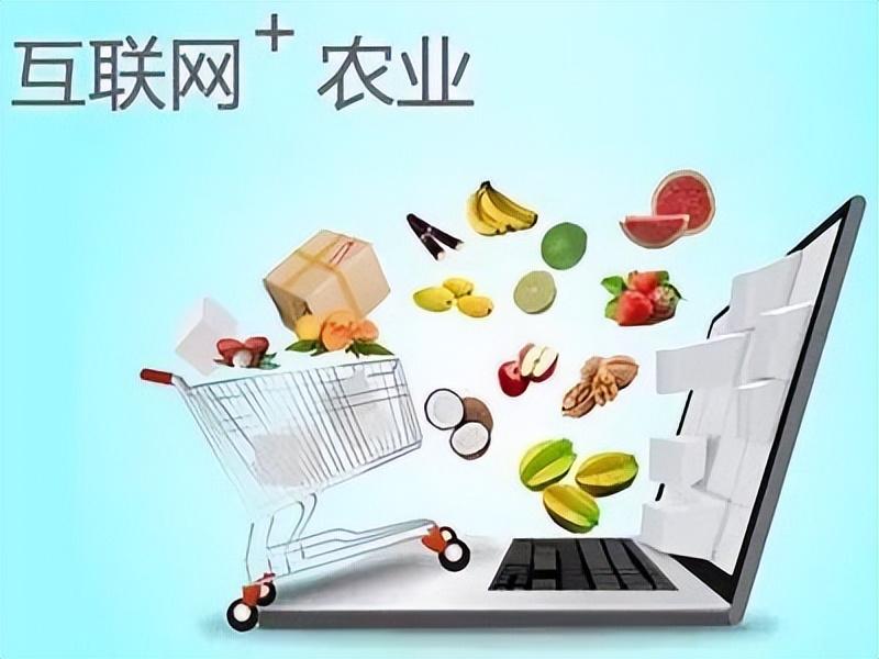 十大農(nóng)產(chǎn)品電商平臺有哪些？國內(nèi)十大農(nóng)產(chǎn)品電商平臺排行榜
