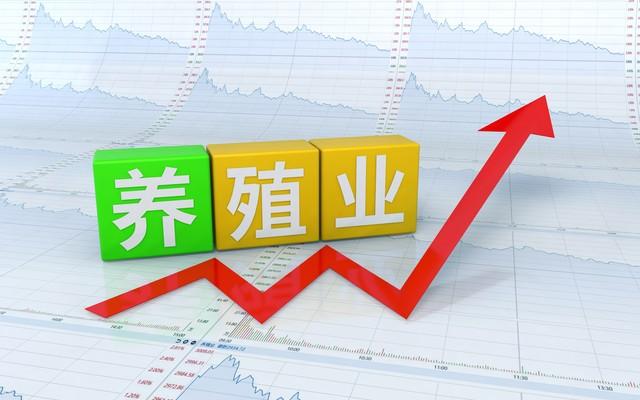 農村的養殖業什么最掙錢？適合農村家庭養殖項目排行榜前十