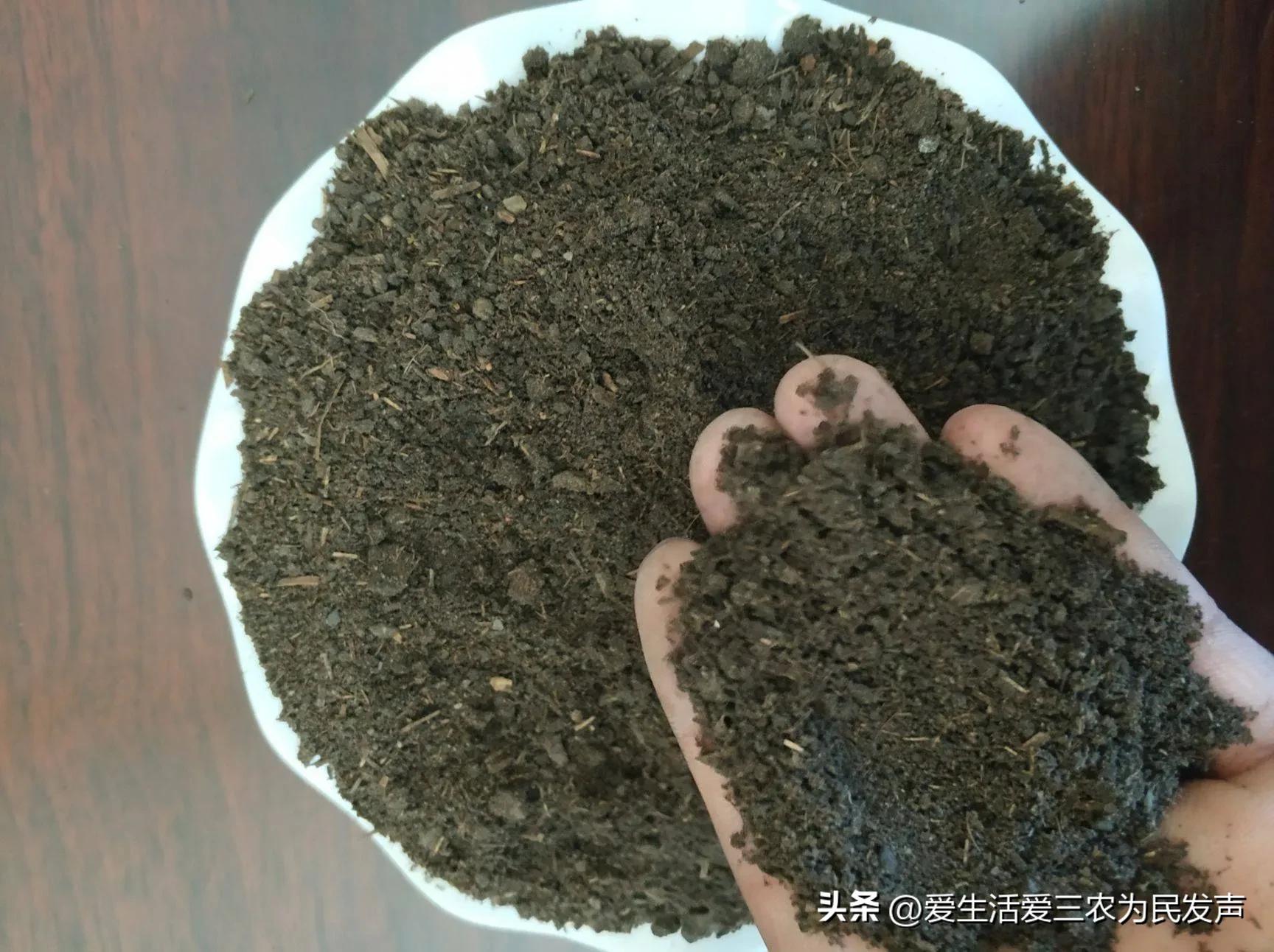 縣城冷門暴利生意有哪些？農村十大冷門暴利生意排行榜