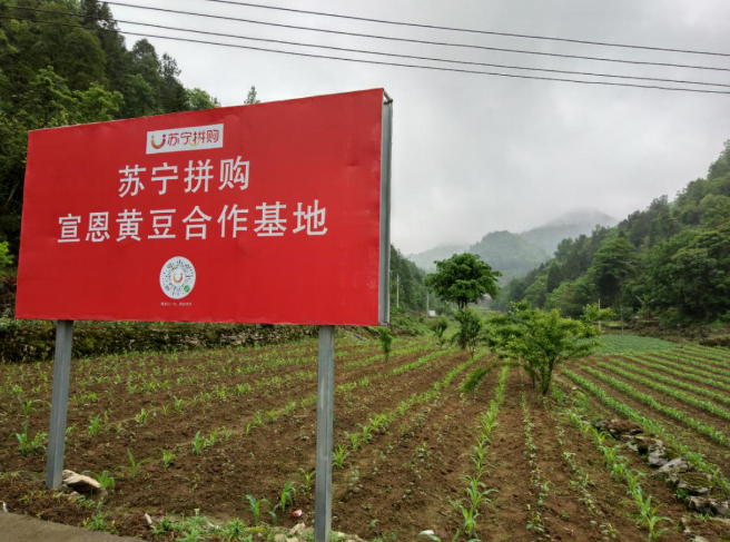 蘇寧拼購的運營特點有哪些？分享蘇寧易購店鋪運營的十大技巧