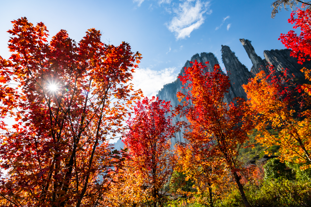 恩施團購平臺有哪些？恩施大峽谷網上訂票流程介紹