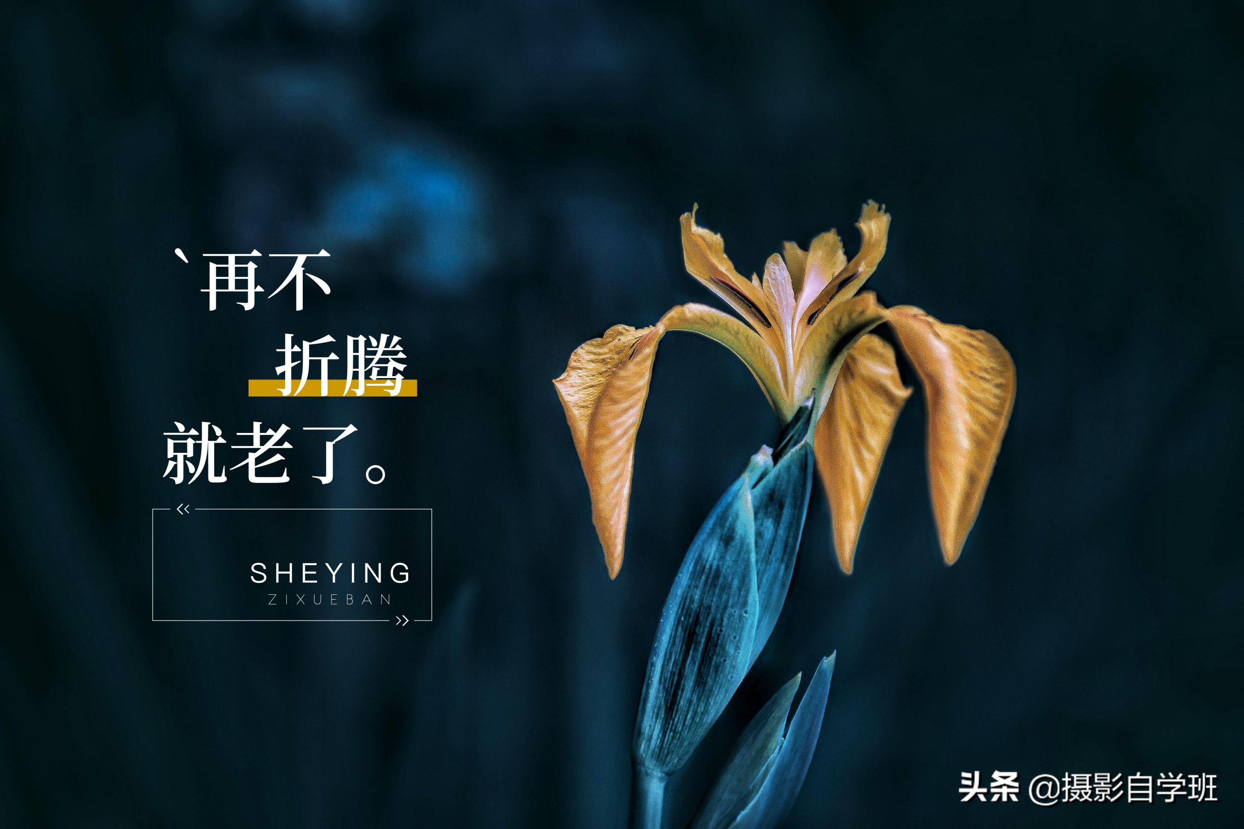 圖片水印怎么制作？教你三個手機圖片添加水印的方法