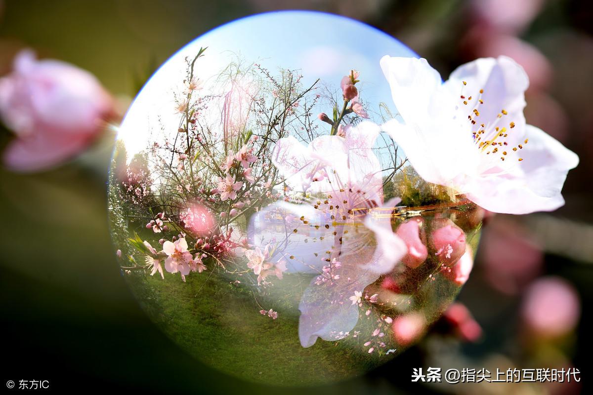 淘寶美工是什么工作？淘寶天貓開店流程及費用