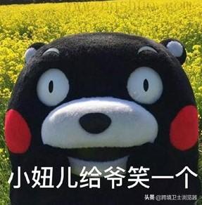wish跨境電商平臺官網(wǎng)（wish跨境電商的優(yōu)勢及特點）