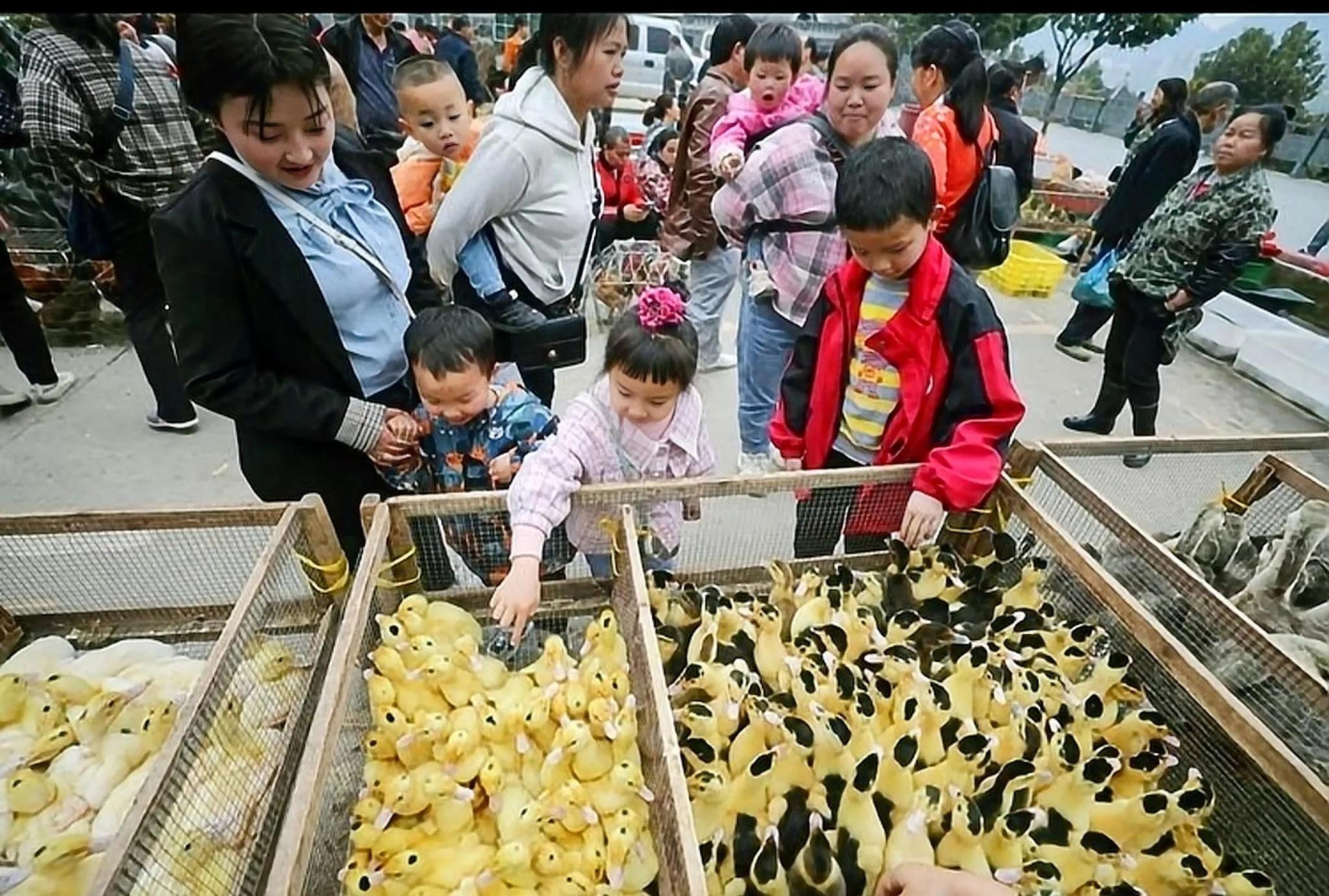 致富好項目有哪些(盤點十個適合農村創業項目推薦）