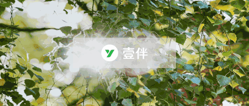 公眾號封面圖尺寸比例（公眾號封面圖片提取教程）