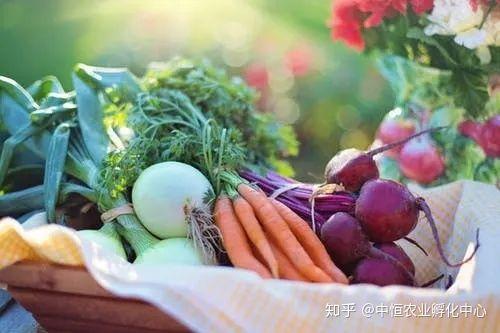 農產品供應鏈模式有哪些？農產品供應鏈方案模板大全