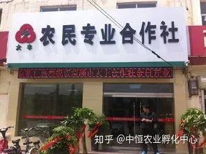 農產品供應鏈模式有哪些？農產品供應鏈方案模板大全