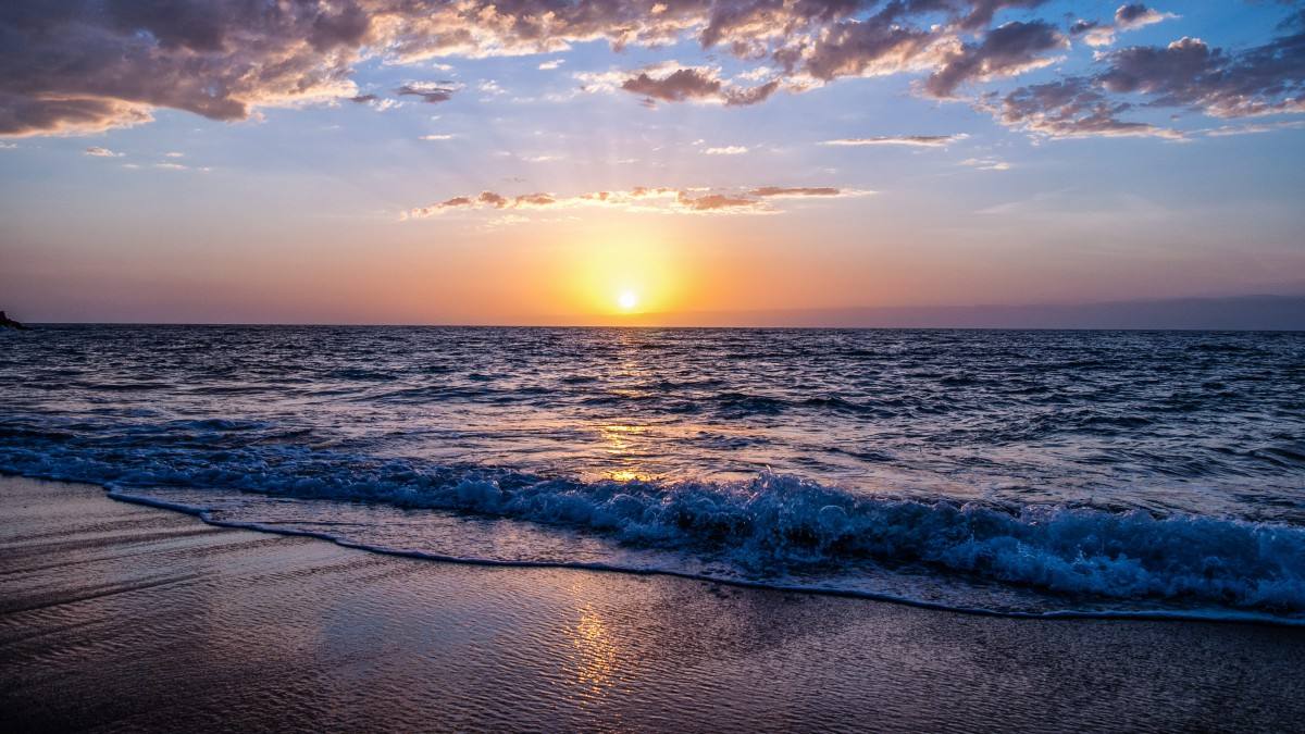 外貿(mào)公司注冊(cè)流程及條件（跨境電商平臺(tái)注冊(cè)開店流程）