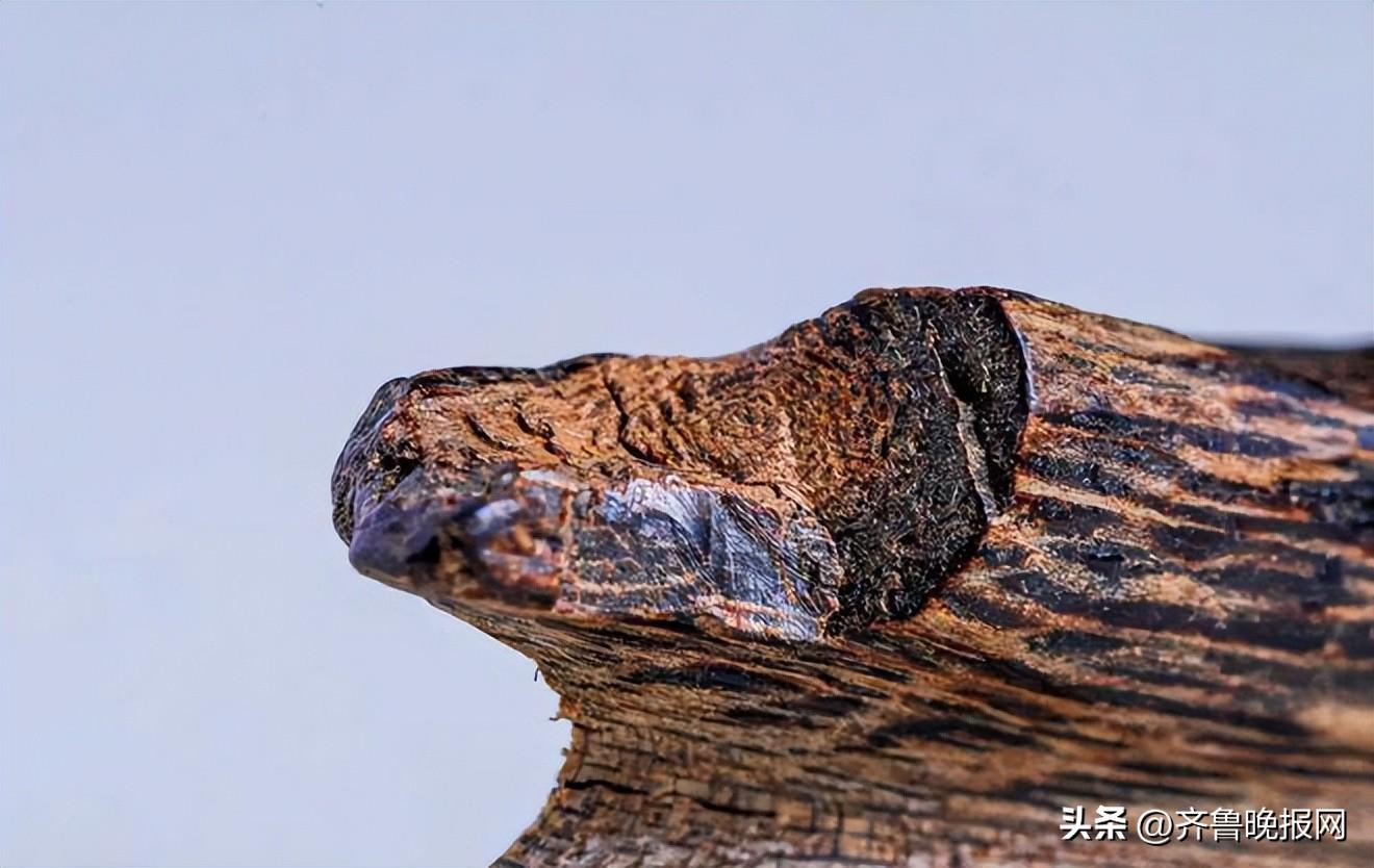 支持專柜驗貨是什么意思？專柜驗貨和app驗貨的區(qū)別