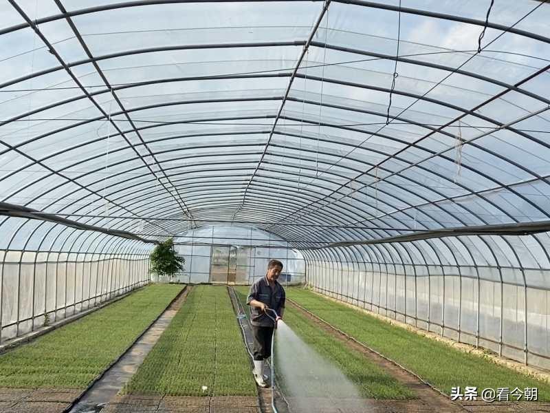 沱沱工社是干什么的?平谷沱沱工社簡介
