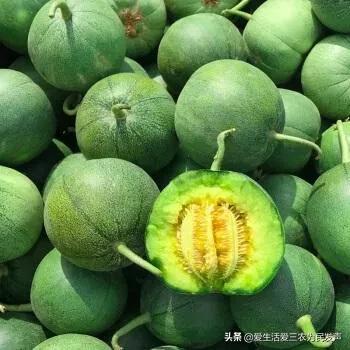 窮人致富項目種值（農村種植創業項目排行榜前十名）