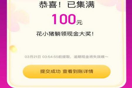 花小豬注冊司機需要什么條件？解析花小豬和滴滴的區別