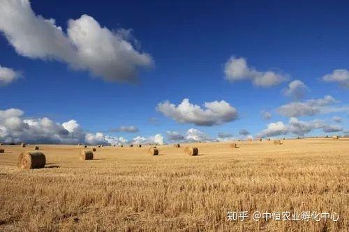 農產品供應鏈模式有哪些？農產品供應鏈方案模板大全