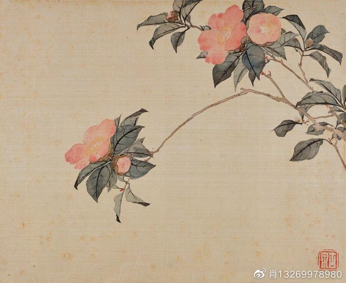 淘寶拍賣網平臺（淘寶拍賣公司注冊流程介紹）