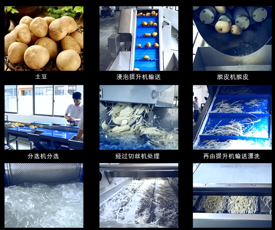 凈菜加工需要什么設備？凈菜加工設備價格表一覽