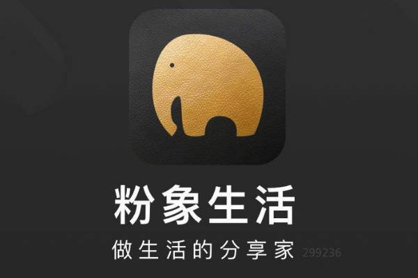 國內最大的電商導購平臺是什么？國內十大電商導購平臺排行榜