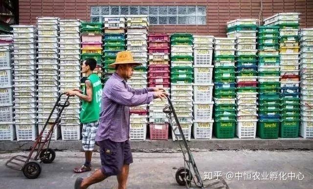 農產品供應鏈模式有哪些？農產品供應鏈方案模板大全