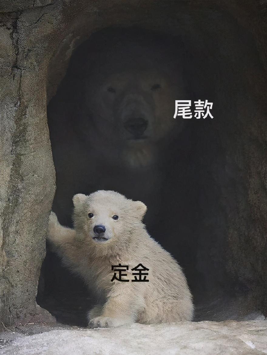 天貓預售定金可以退嗎？天貓店鋪預售設置方法及規則