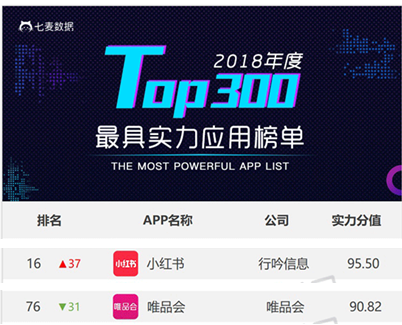 聚美優(yōu)品化妝品用戶畫像分析（2023中國化妝品電子商務(wù)行業(yè)分析報告）