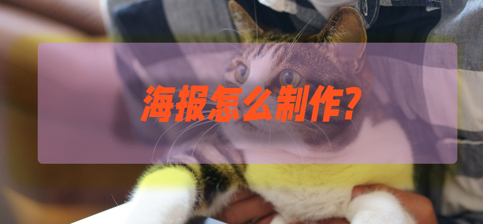 海報是什么意思？店鋪宣傳海報制作詳細教程