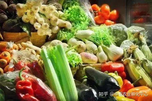 農產品供應鏈模式有哪些？農產品供應鏈方案模板大全