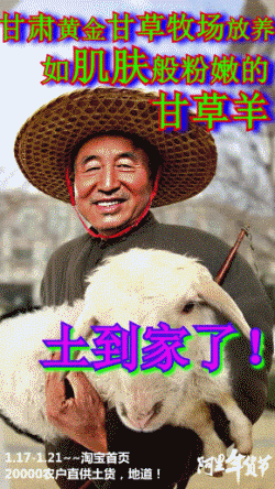 年貨節宣傳文案怎么寫？淘寶年貨節促銷方案模板大全
