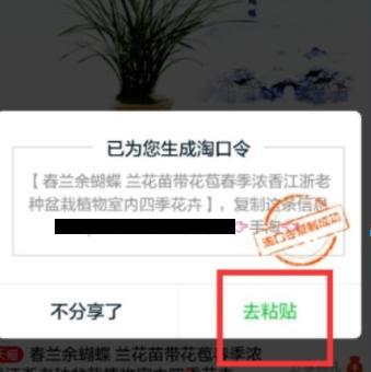 淘口令是什么意思？解析淘寶淘口令分享的作用