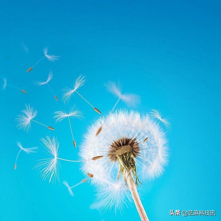 微信封面尺寸比例是多少？朋友圈封面尺寸設置教程