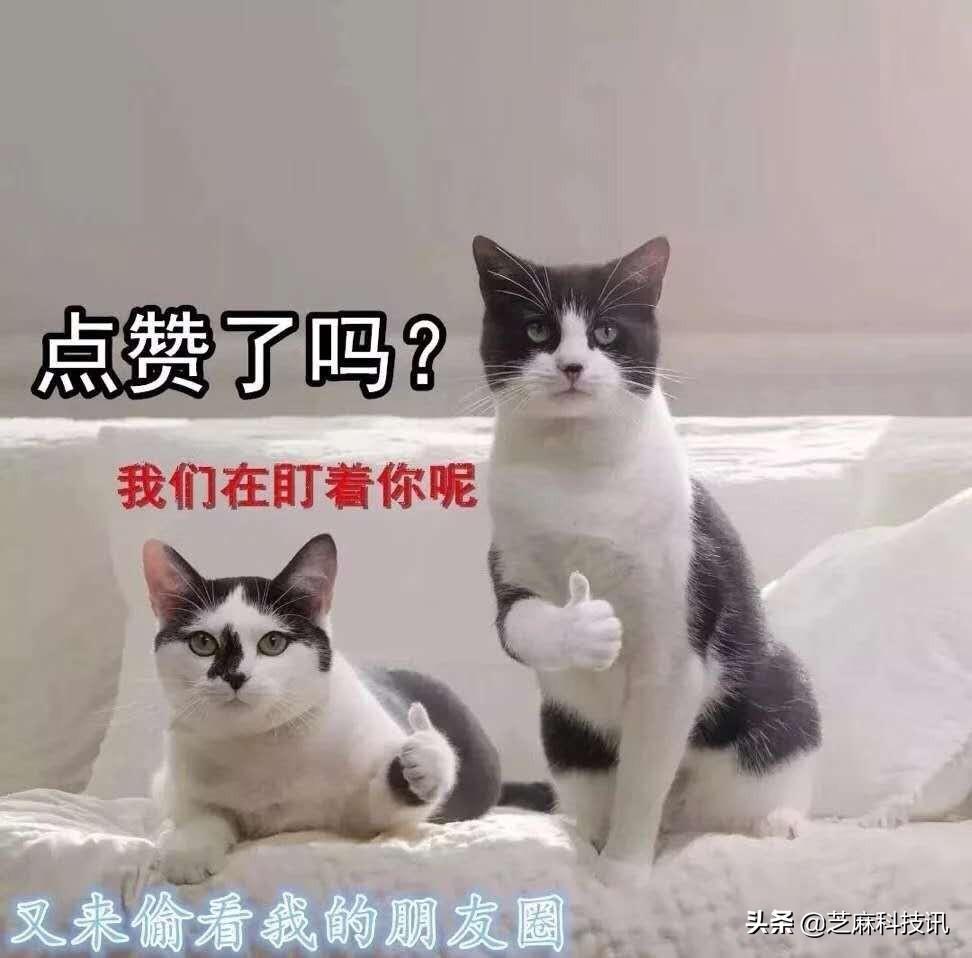 微信封面尺寸比例是多少？朋友圈封面尺寸設置教程