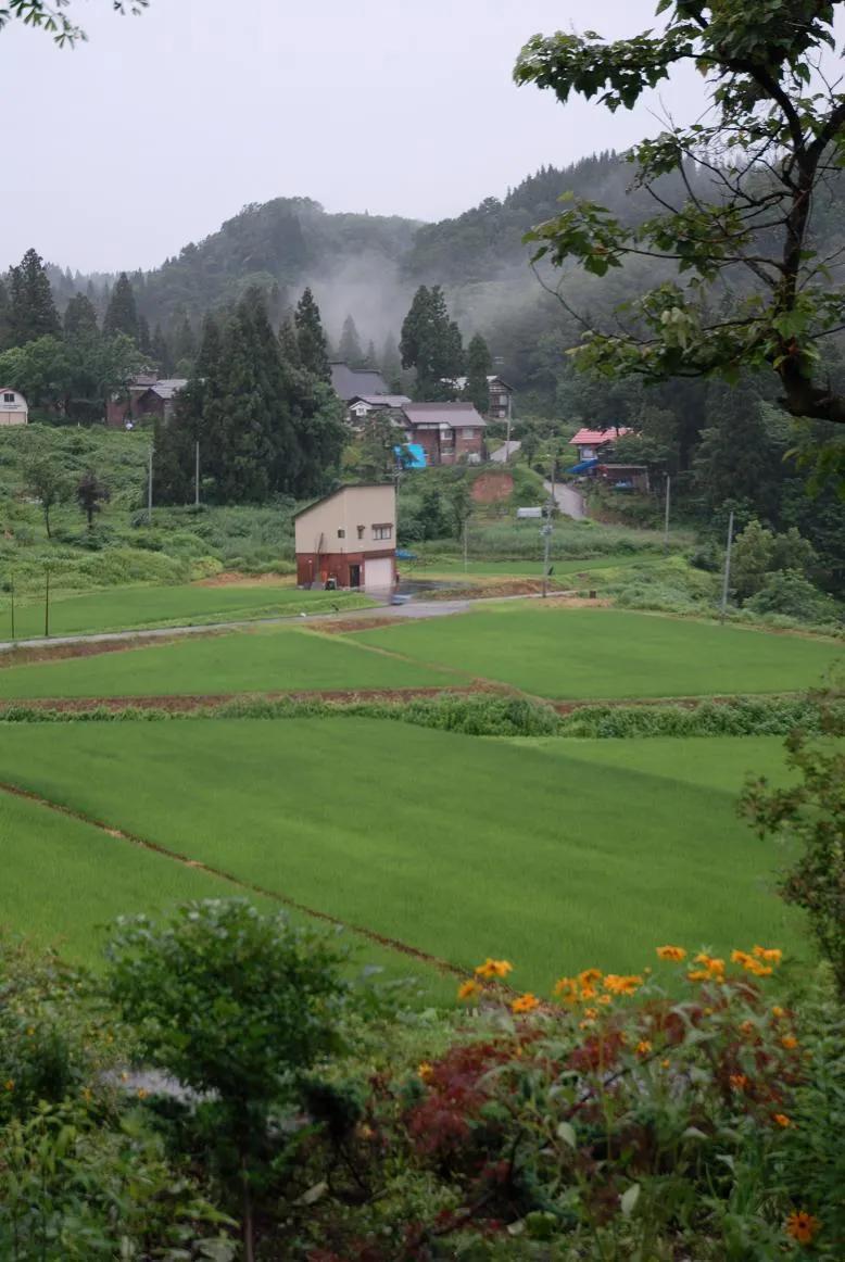 無本錢創業22種方法（農村創業十大小本生意排行榜）