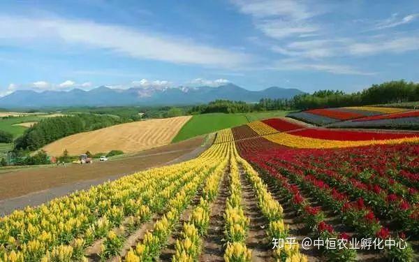 農產品供應鏈模式有哪些？農產品供應鏈方案模板大全