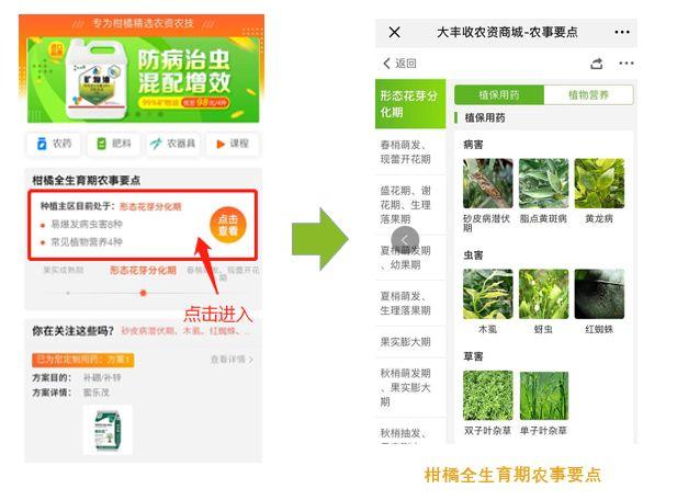 大豐收農(nóng)資商城app（大豐收農(nóng)資賬號官網(wǎng)簡介）