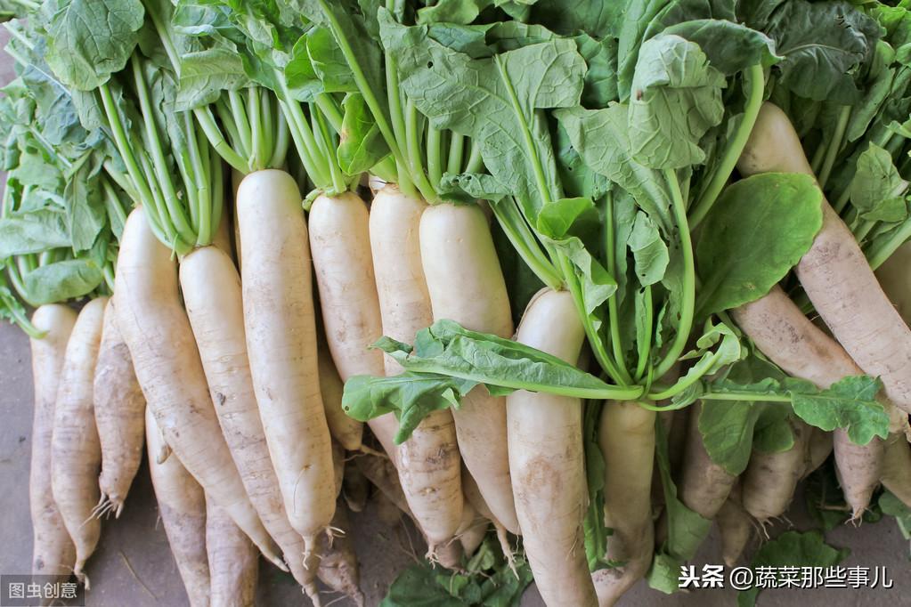 速凍蔬菜怎么做？盤點速凍蔬菜的種類有哪些