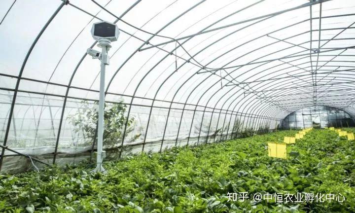 農產品供應鏈模式有哪些？農產品供應鏈方案模板大全