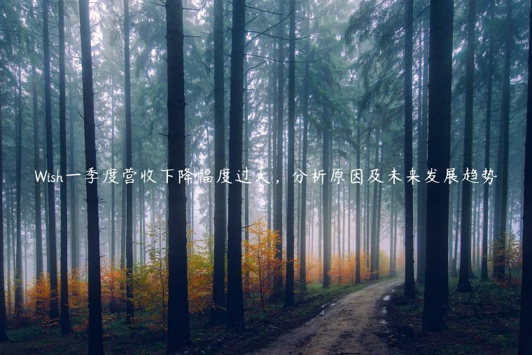 Wish一季度營收下降幅度過大，分析原因及未來發展趨勢