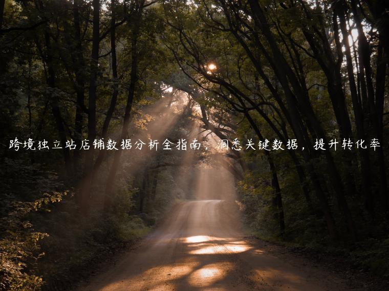 跨境獨立站店鋪數據分析全指南，洞悉關鍵數據，提升轉化率