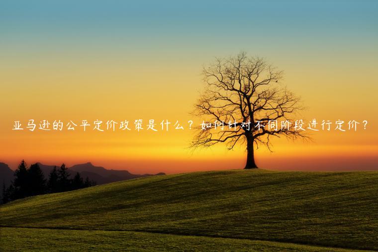 亞馬遜的公平定價(jià)政策是什么？如何針對(duì)不同階段進(jìn)行定價(jià)？
